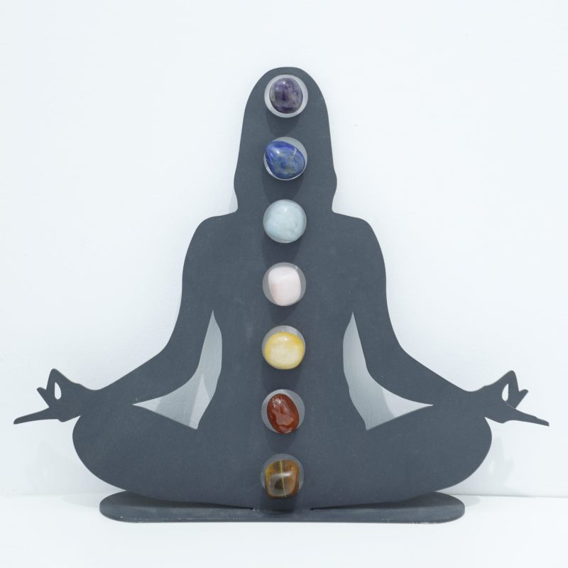Statut SPA 7 Chakras